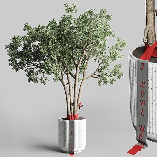 现代植物盆栽