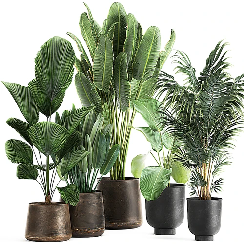 现代绿植盆栽组合