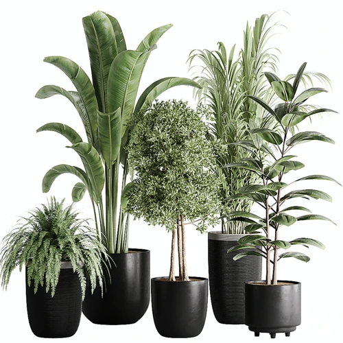 现代绿植盆栽组合