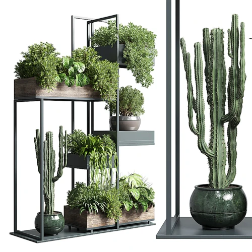 现代绿植盆栽组合