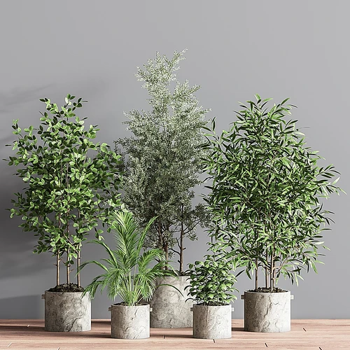 现代绿植盆栽