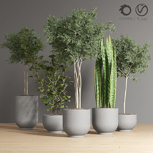 现代绿植盆栽组合