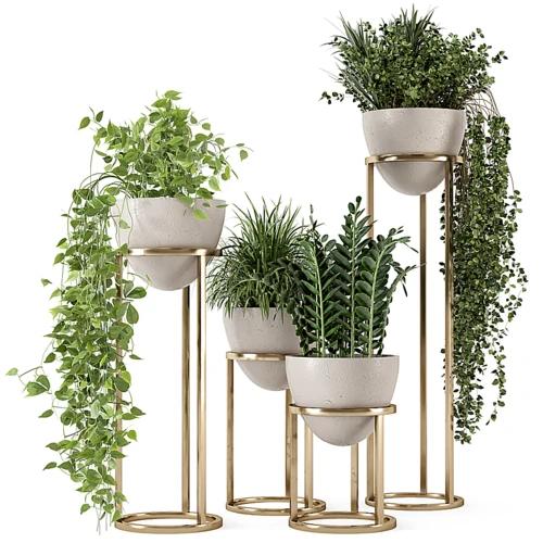 现代绿萝植物盆栽