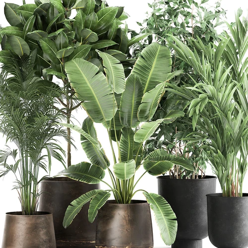 现代植物花盆组合