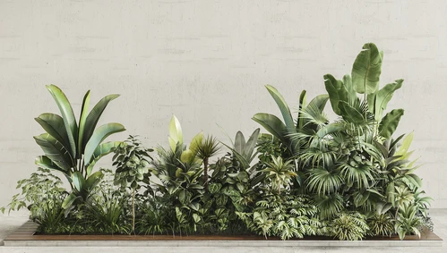 现代植物堆植物墙