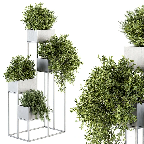 现代绿植盆栽