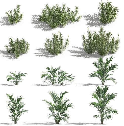 现代植物