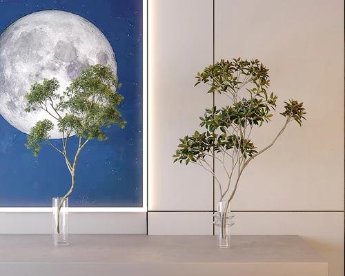 现代水生植物