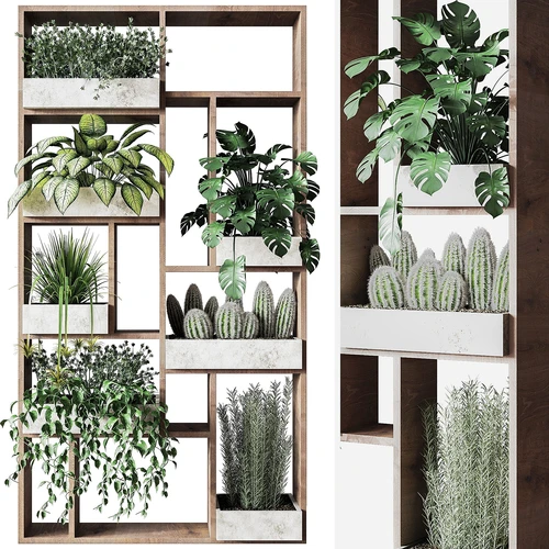 现代绿植盆栽植物架