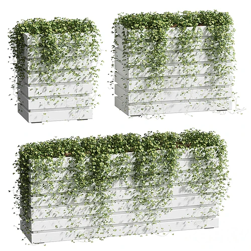 现代植物墙