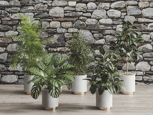 现代植物盆栽组合