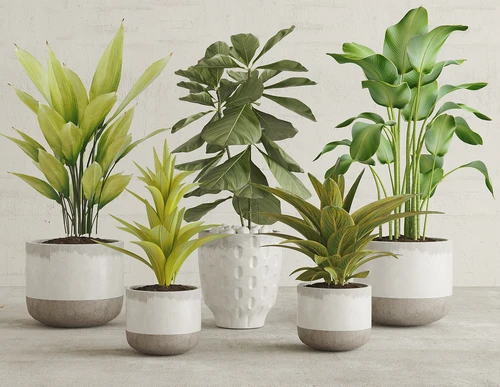 现代绿植盆栽组合