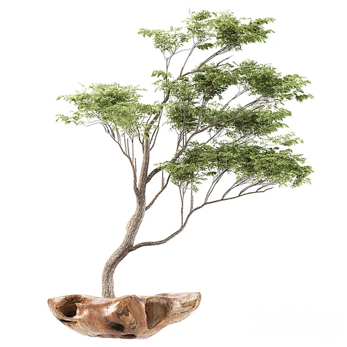 新中式植物盆栽
