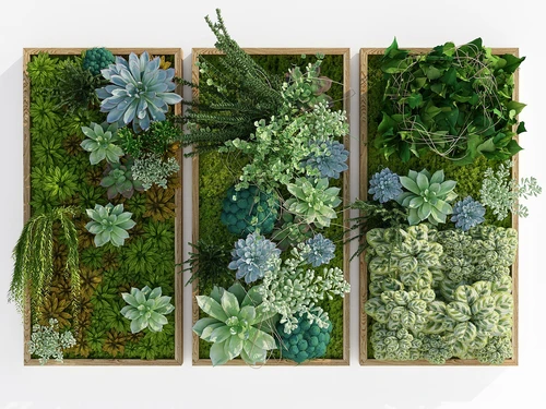 现代风格植物墙饰