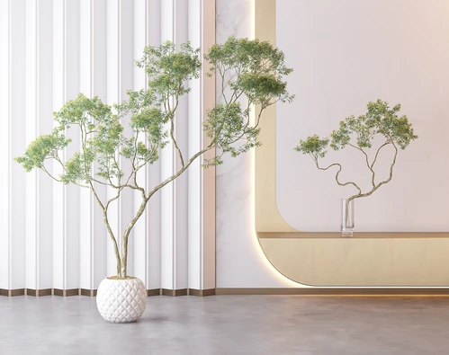 现代植物盆栽