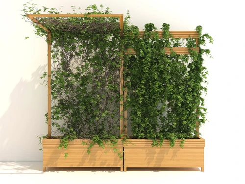 现代风格绿植藤蔓