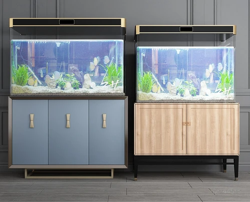 现代鱼缸水族组合