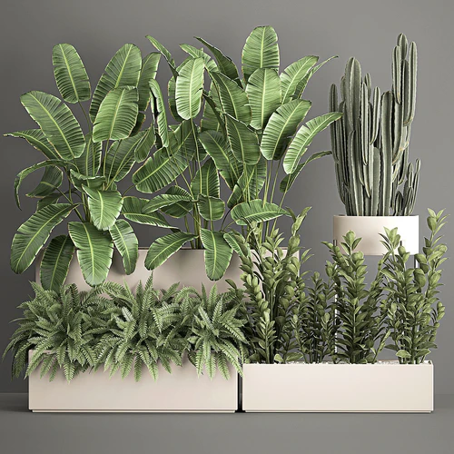 现代盆栽盆景植物景观