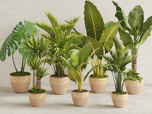 现代植物绿植盆栽组合