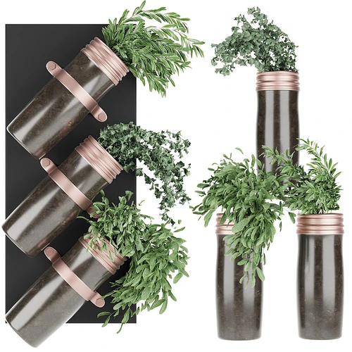 植物盆栽组合