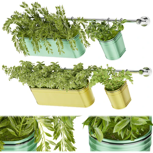 植物盆栽组合