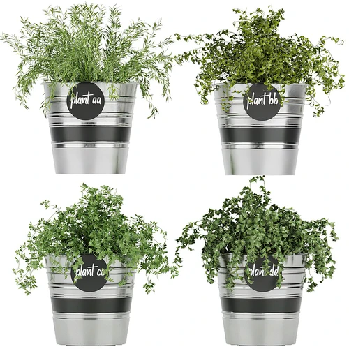 植物盆栽组合