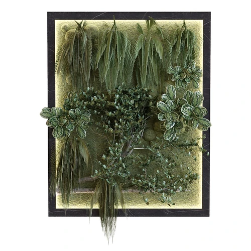 植物墙