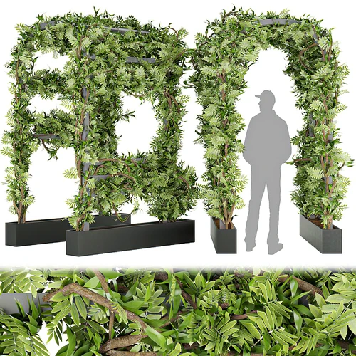 植物墙