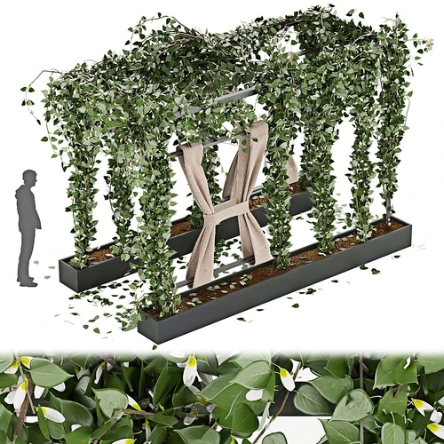 植物墙