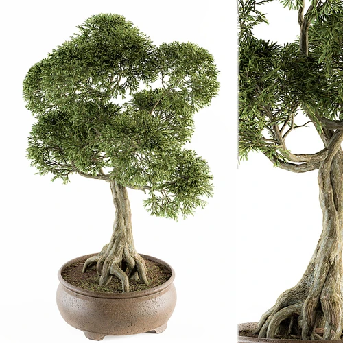 新中式植物盆栽