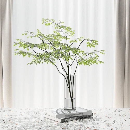 现代花瓶水生绿植