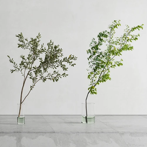 现代绿植花瓶