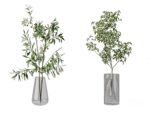 现代水生绿植花瓶