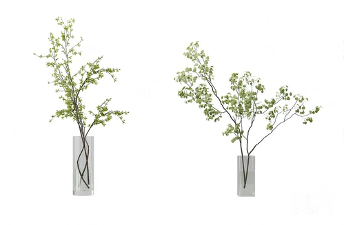 现代水生绿植花瓶