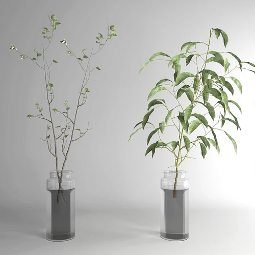 现代水培绿植花瓶