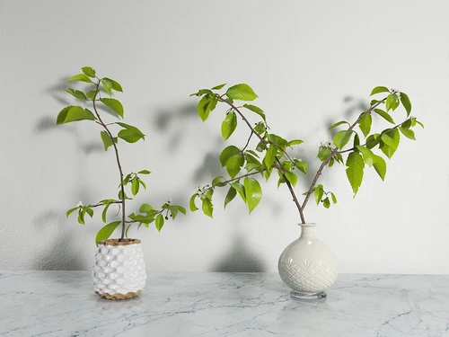 现代树枝花瓶插花