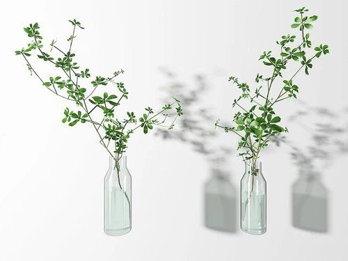 现代水培绿植花瓶