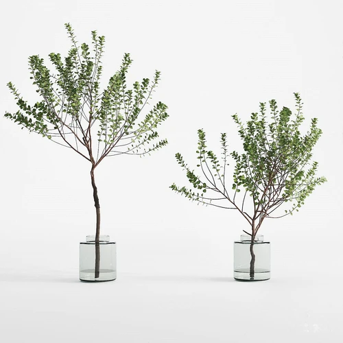现代植物花瓶花艺