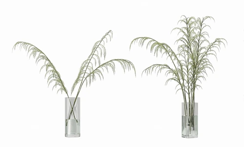 现代水生绿植花瓶插花