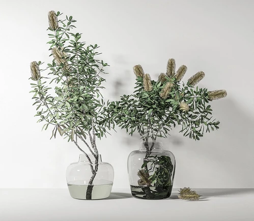 现代水培树枝盆栽