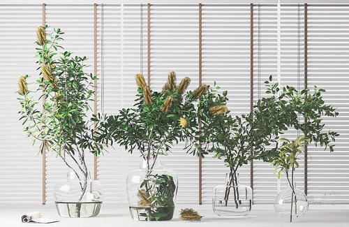 现代水生绿植花瓶