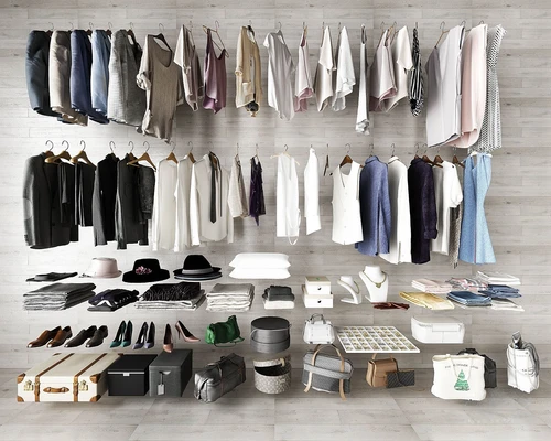 现代衣帽间衣服饰品组合