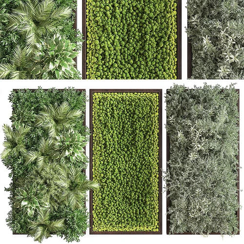 现代植物墙组合