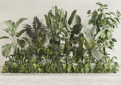 现代盆栽植物绿植