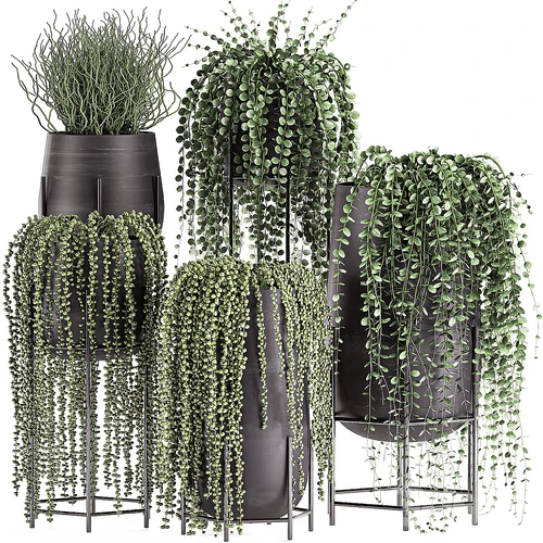 现代绿植盆栽