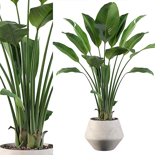 现代绿植盆栽摆件