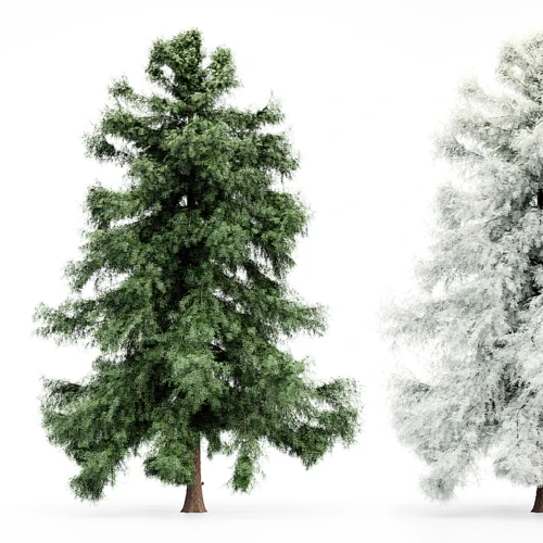 现代松树雪树景观树