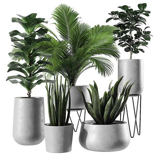 现代绿植盆栽