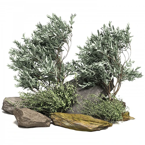 现代景观石头植物