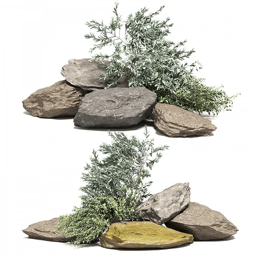 现代景观石头植物